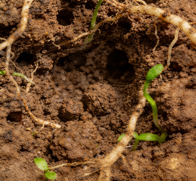 ����ˮ��(sh��)�y(c��)���x�x��(gu��)�a(ch��n)���R�������}�A�����^ + ��̽�^�L(zh��ng)�ȿɶ���